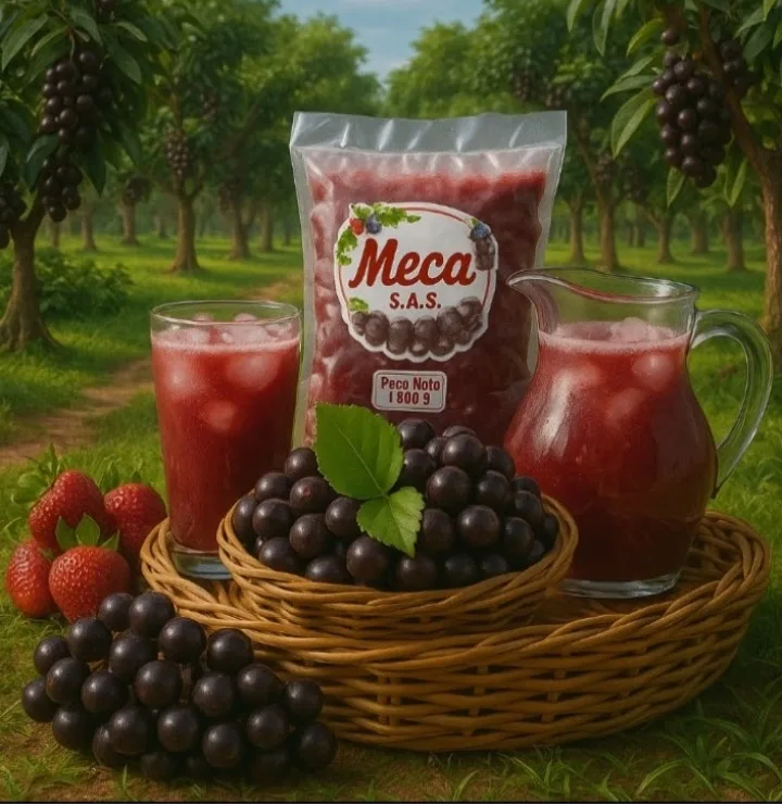 PULPA DÉ COROZO